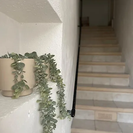 Le Petit Cosy Appartement Saint-Paul-Trois-Châteaux